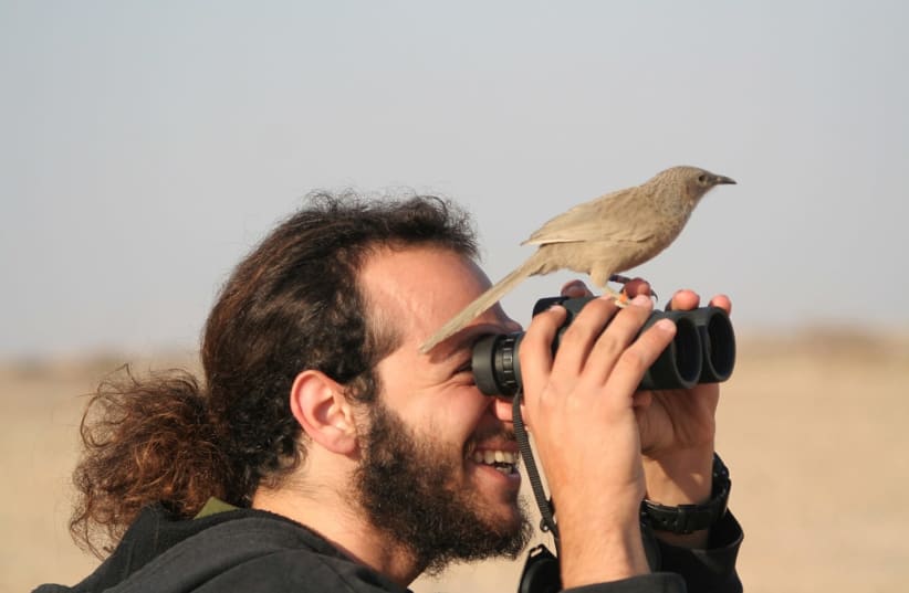 A laughingthrush lands on a birdwatcher's binoculars. (photo credit: Courtesy)