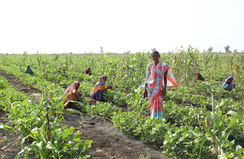 Farmers at work in Rhamtal, India, after the completion of Netafim's community irrigation project (photo credit: NETAFIM)