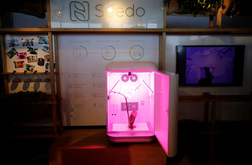 An autonomous cannabis-growing device by Israeli company, Seedo, is displayed with an orchid inside it, at an exhibition stand during Cannatech 2017, an annual global cannabis industry event, in Tel Aviv, Israel March 20, 2017. Picture taken March 20, 2017 (photo credit: AMIR COHEN/REUTERS)