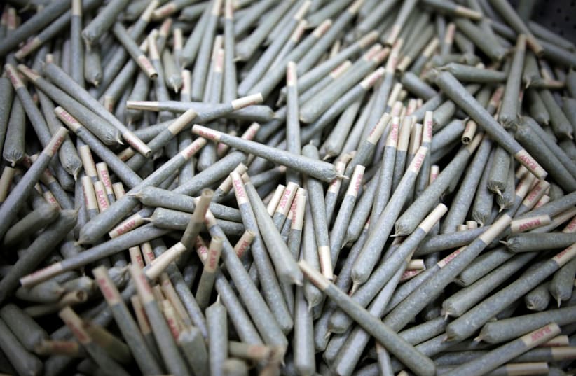 Cigarettes filled with medical cannabis are seen at Pharmocann, an Israeli medical cannabis company in northern Israel January 24, 2019. Picture taken January 24, 2019.  (photo credit: AMIR COHEN/REUTERS)