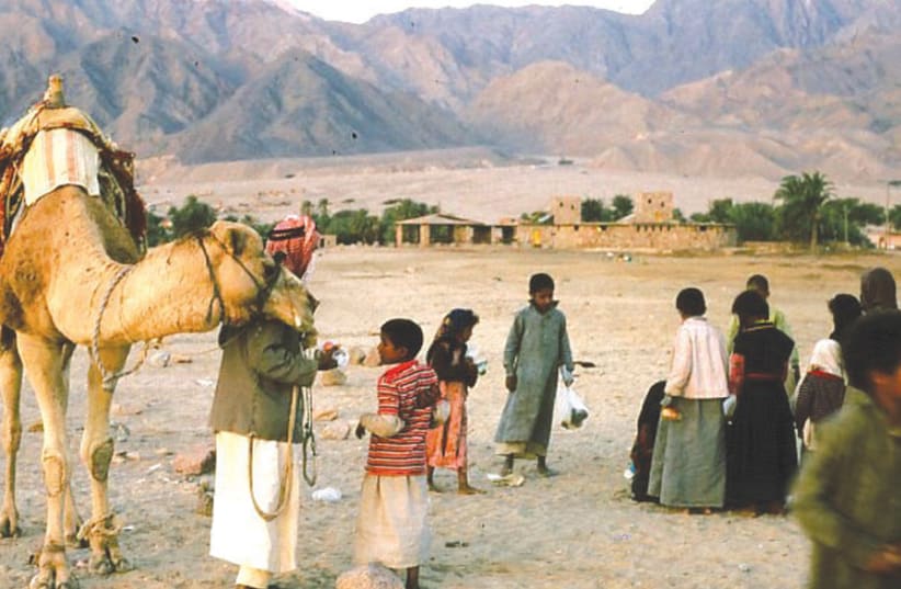 BEDOUIN IN the Sinai desert, 1981: ‘It could very well turn out that while Israel gave up Sinai in order to get peace, it might end up with neither.’ (photo credit: Wikimedia Commons)