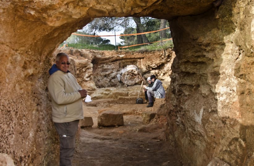 Archaeologist Yaakov Billig stands next to impressive discoveries from the Second Temple period in Jerusalem's Sharafat neighborhood, March, 2019 (photo credit: Israel Antiquities Authority)