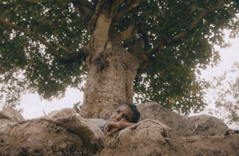 BETALEHEM ASMAMAWE stars as 16-year-old Mina in ‘Fig Tree.’  (photo credit: DANIEL MILLER)