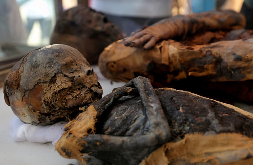 Two mummies, of a woman and child, are on display at the newly discovered burial site, the Tomb of Tutu, at al-Dayabat, Sohag, Egypt April 5, 2019 (photo credit: MOHAMED ABD EL GHANY/ REUTERS)