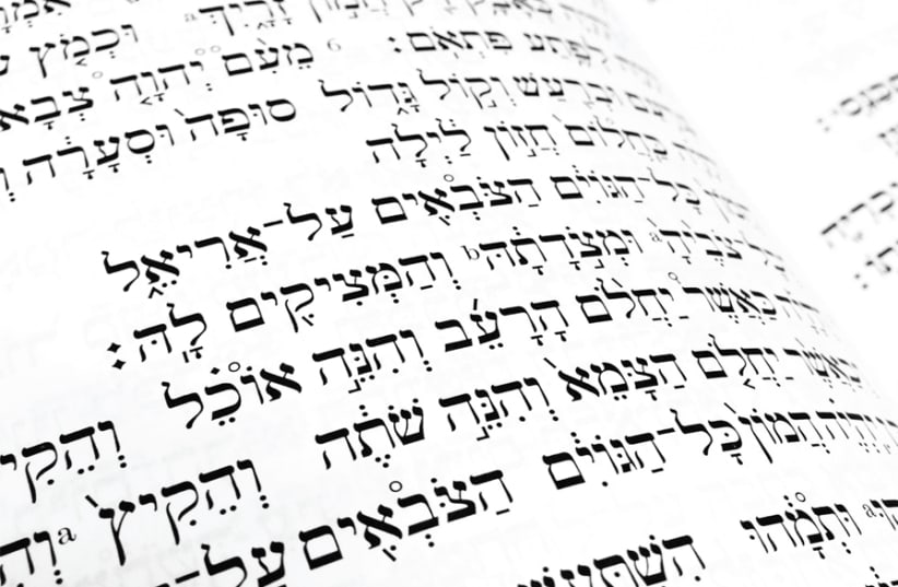 THE AUTHOR dives deep into the meaning of biblical Hebrew words. (photo credit: LUKE JONES/FLICKR)