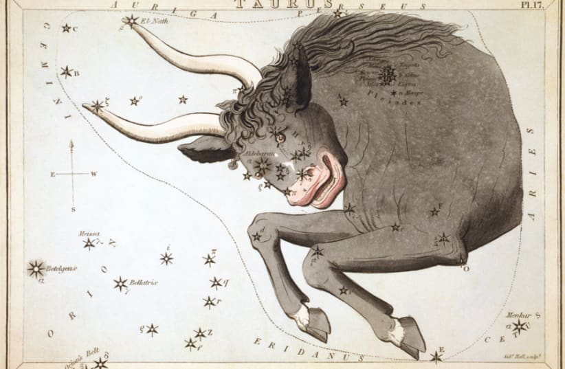 TAURUS, THE bull, as depicted in Urania’s Mirror, a set of constellation cards published in London in 1825. (photo credit: Wikimedia Commons)