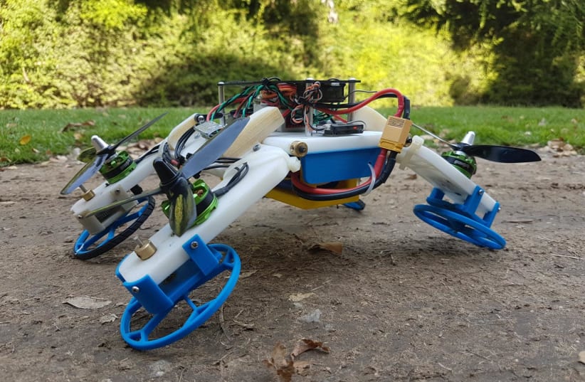 The hybrid FSTAR - flying sprawl-tuned autonomous robot (photo credit: Courtesy)