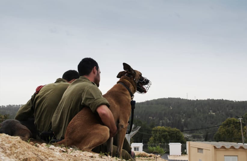 Soldiers in the IDF's Oketz unit hugging a dog during a break, photo taken by Topaz Luk from the IDF spokesperson's unit (photo credit: WIKIMEDIA COMMONS/ISRAEL DEFENSE FORCES)