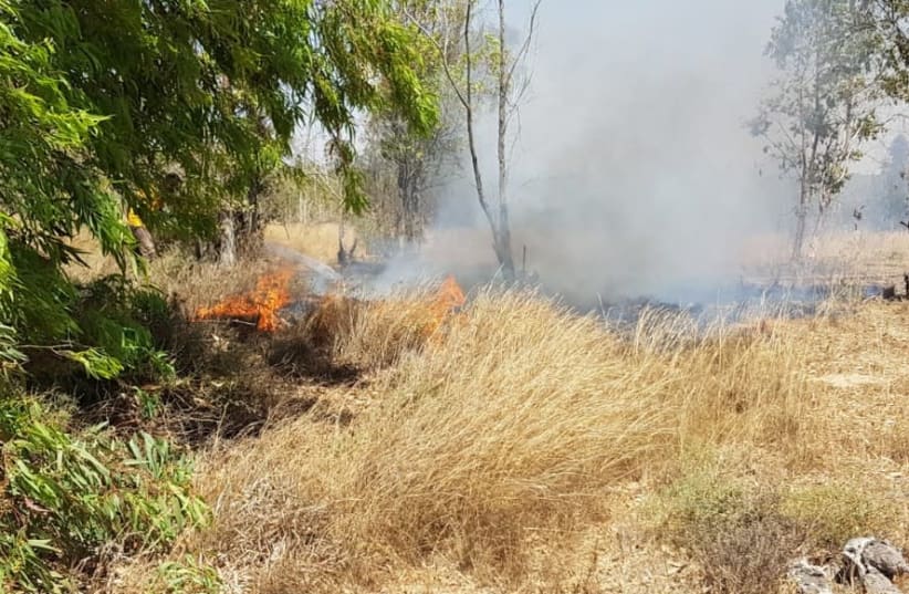 Can you spot the KKL-JNF firefighter extinguishing a fire at the Vermolin recreation site? Photo: Moshe Baruchi, KKL-JNF (photo credit: MOSHE BARUCHI/KKL-JNF FORESTER)