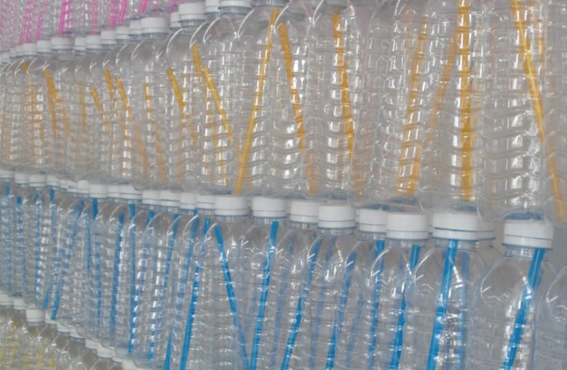 Are Israel’s plastic bottles being recycled? (photo credit: PUBLICDOMAINPICTURES.NET)