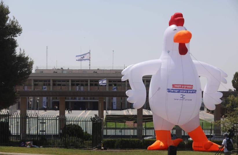 The Goldin Family, the Bereaved Families Forum and the Israeli Victory Organization placed an inflatable chicken doll outside the Knesset on August 14th, 2019 (photo credit: MARC ISRAEL SELLEM/THE JERUSALEM POST)