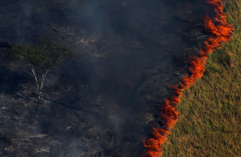 Burning forest is seen during "Operation Green Wave" to combat illegal logging in the Amazon rainforest (photo credit: BRUNO KELLY/REUTERS)