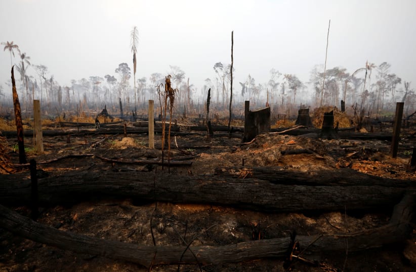 A tract of Amazon jungle is seen after a fire in Boca do Acre, Amazonas state, Brazil August 24, 2019 (photo credit: BRUNO KELLY/REUTERS)