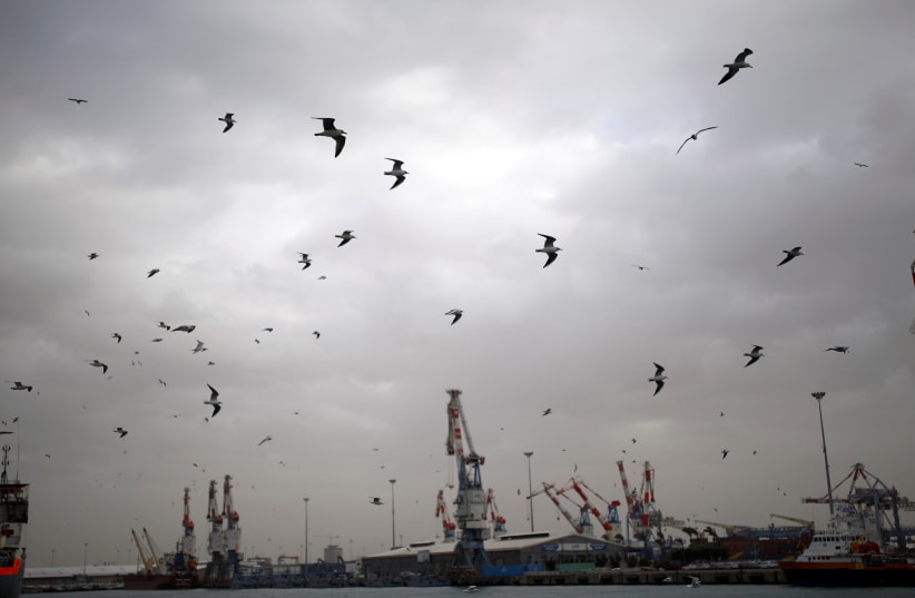 A general view shows seagulls in Ashdod port as a storm approaches Israel's shores January 4, 2018 (photo credit: AMIR COHEN/REUTERS)