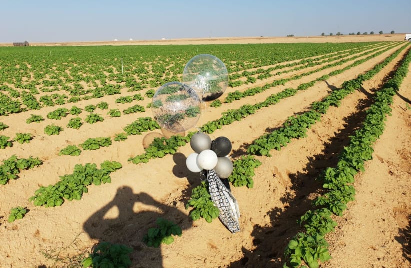 A Palestinian incendiary balloon that landed in a field in Israel (photo credit: ESHKOL REGIONAL COUNCIL)