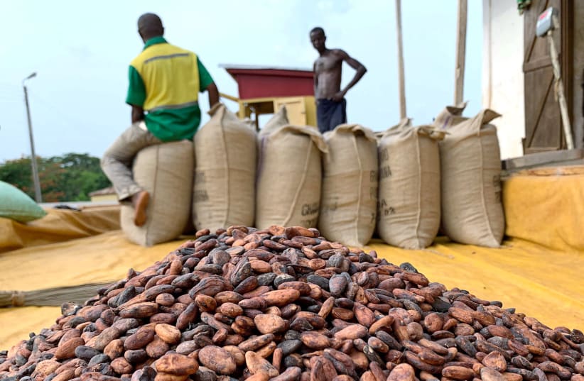 Cocoa beans are pictured next to a warehouse at the village of Atroni, near Sunyani, Ghana April 11, 2019 (photo credit: REUTERS/ANGE ABOA)