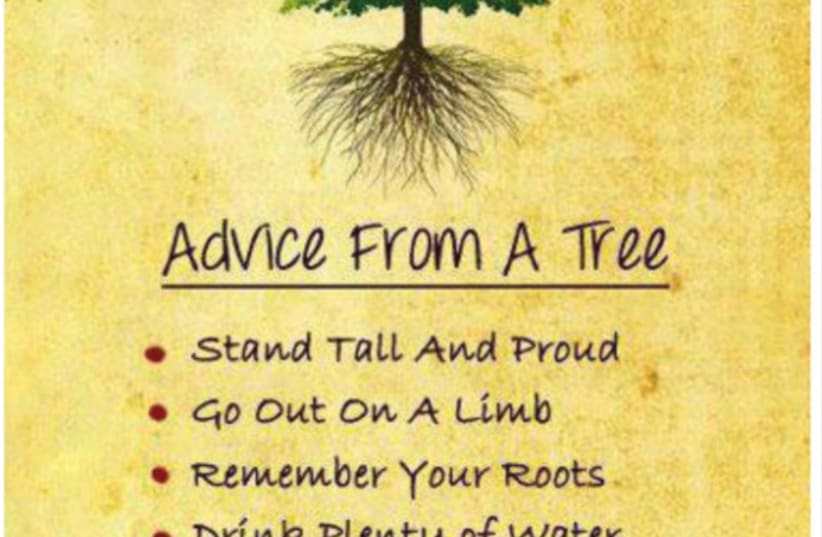 A page from the Haggadah titled ‘Advice From a Tree’ (photo credit: Courtesy)