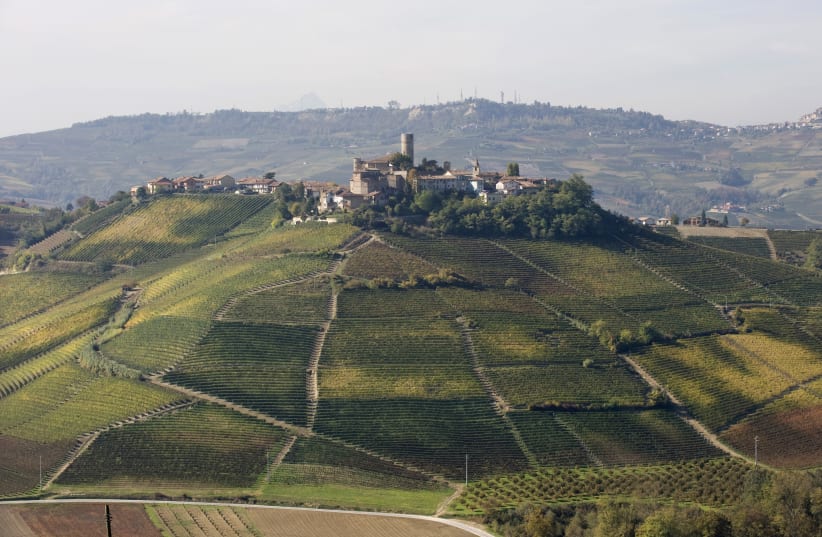 THE WINERY is situated in a beautiful village surrounded by vineyards in the heart of the Barolo.  (photo credit: Courtesy)
