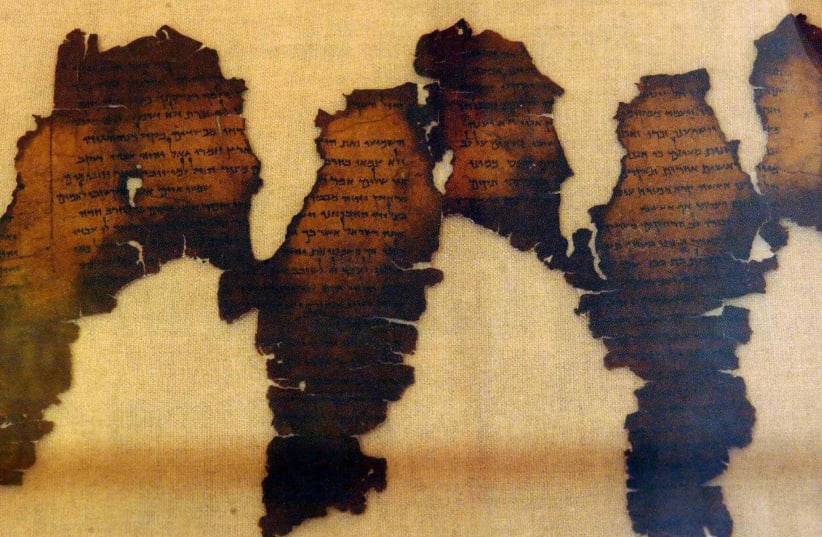 Fragments of the real Dead Sea Scrolls shown in 2003 (photo credit: NORMAND BLOUIN/AFP VIA GETTY IMAGES VIA JTA)