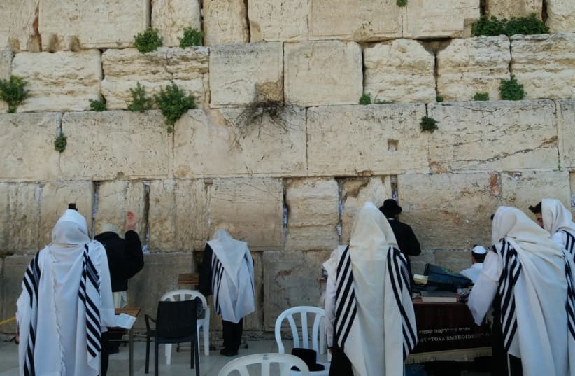 Shacharit morning services at the Western Wall. (photo credit: THE WESTERN WALL HERITAGE FOUNDATION)