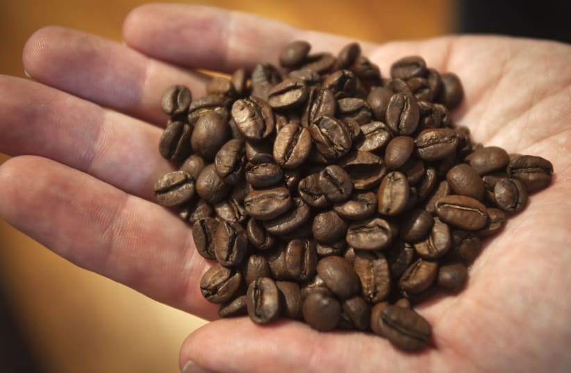 A handful of coffee beans (photo credit: REUTERS/CARLO ALLEGRI)