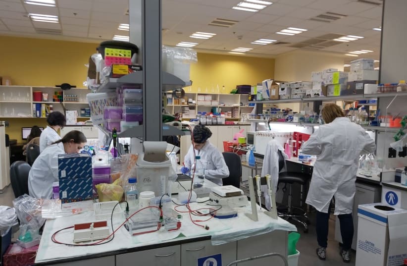 MIGAL's biotechnology group's team is hard at work on a vaccine for COVID-19. (photo credit: COURTESY OF MIGAL)