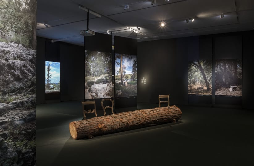 Altogether alone: ‘Seated in Seclusion’ at the Israel Museum (photo credit: ERAN LEDERMAN)