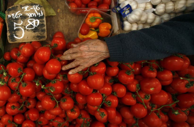 A vendor arranges tomatoes on his stand at the Mahne Yehuda market in Jerusalem February 9, 2011 (photo credit: REUTERS/BAZ RATNER)