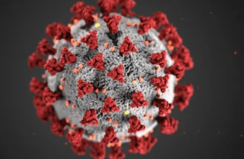 An image of the virus that causes COVID-19, created by the CDC (photo credit: Courtesy)