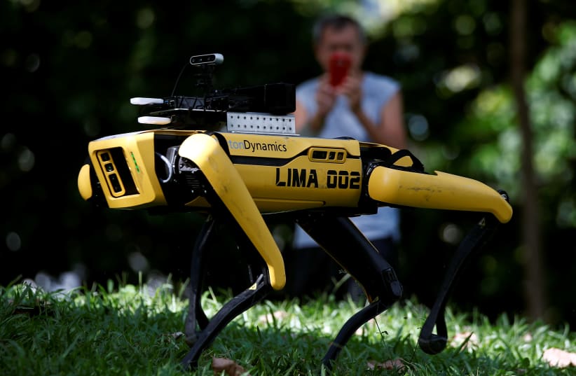 A four-legged robot dog called SPOT patrols a park as it undergoes testing to be deployed as a safe distancing ambassador, following the coronavirus disease (COVID-19) outbreak, in Singapore May 8, 2020 (photo credit: REUTERS/EDGAR SU)