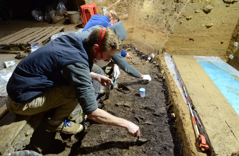 Researchers engage in excavations at Bacho Kiro Cave in Bulgaria (photo credit: TSENKA TSANOVA/HANDOUT VIA REUTERS)