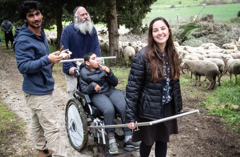 LOTEM makes Israel accessible for people with disabilities (photo credit: Courtesy)
