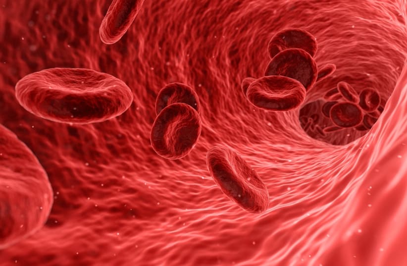 Red blood cells (illustrative) (photo credit: Wikimedia Commons)
