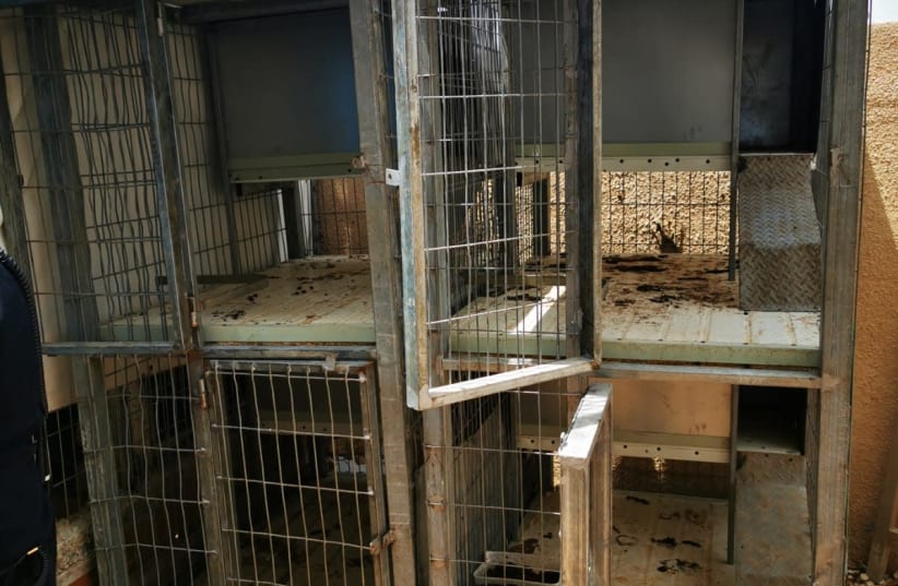 Cages which were used to hold pitbull dogs (photo credit: POLICE SPOKESPERSON'S UNIT)