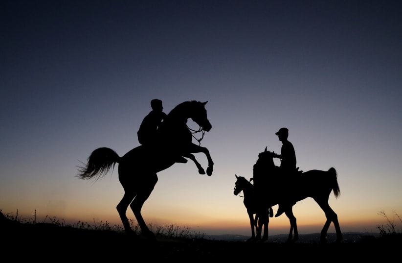 Palestinian teenagers ride their horses during sunset in the East Jerusalem neighbourhood of Shuafat (photo credit: AMMAR AWAD/REUTERS)