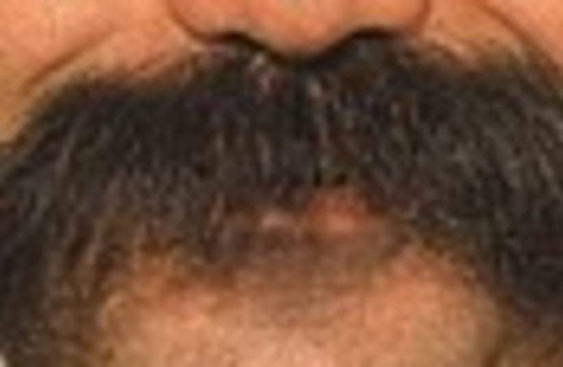 arab mustache 88 (photo credit: )