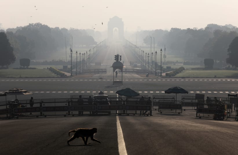 A monkey crosses the road near India's Presidential Palace during a 14-hour long curfew to limit the spreading of coronavirus disease (COVID-19) in the country, New Delhi, India, March 22, 2020 (photo credit: REUTERS/ANUSHREE FADNAVIS)