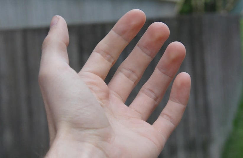 Human hand (Illustrative).  (photo credit: FLICKR)