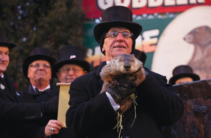 IN ‘GROUNDHOG Day,’ Bill Murray’s curmudgeonly character is transformed by crisis into a sweetheart who gets the girl. (Pictured: Punxsutawney Phil, the esteemed groundhog) (photo credit: Wikimedia Commons)