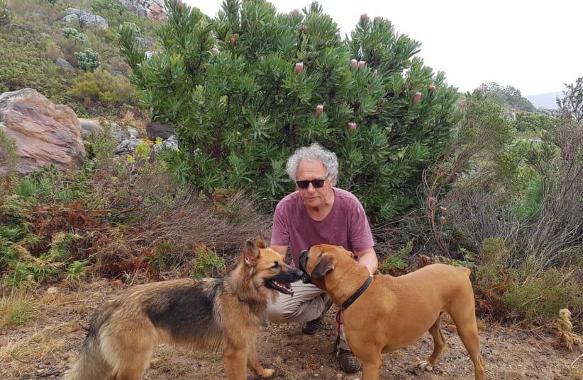 South African filmmaker Laurence Dworkin, who died of COVID-19 at a Cape Town hospital on May 17 at the age of 65, walking his dogs at a park near his home in Oranjezicht (photo credit: Courtesy)