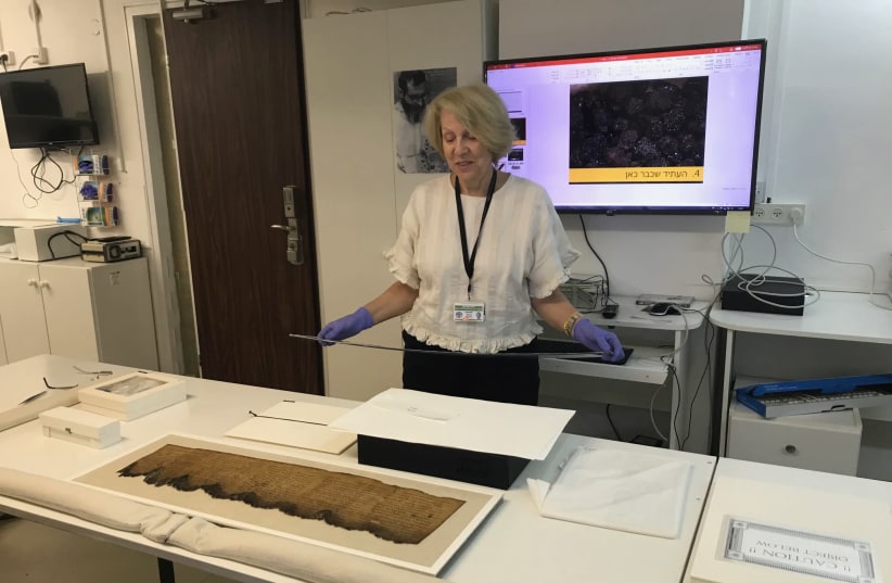 Israel Antiquities Authority conservator of the Dead Sea Scrolls Tanya Bitler with one of the best preserved scrolls. (photo credit: ROSSELLA TERCATIN)