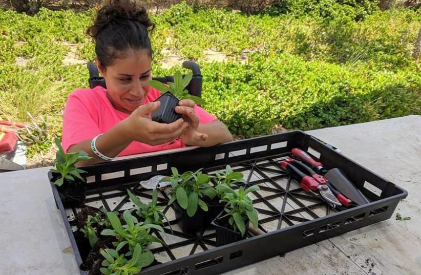 A gardener with special needs prepares flowers for planting at the Rhoda Fischer Memorial Garden at ALEH Negev-Nahalat Eran on July 5, 2020. (photo credit: COURTESY OF ALEH)