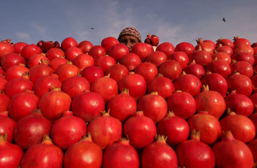 A vendor selling pomegranates looks on at a market in Srinagar February 1, 2019 (photo credit: REUTERS)