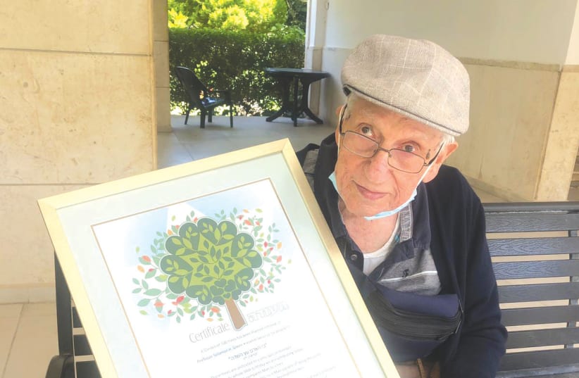 Sol Green with the KKL-JNF tree certificate testifying that a 99-tree grove bears his name. (photo credit: JAY SOLOMONT)