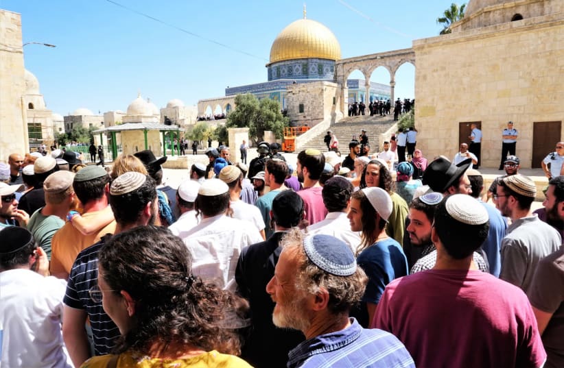 Jews visit the Temple Mount on Tisha B'Av, 2019 (photo credit: HAIM KROIZER/JOINT HEADQUARTERS OF TEMPLE MOUNT ORGANIZATIONS)