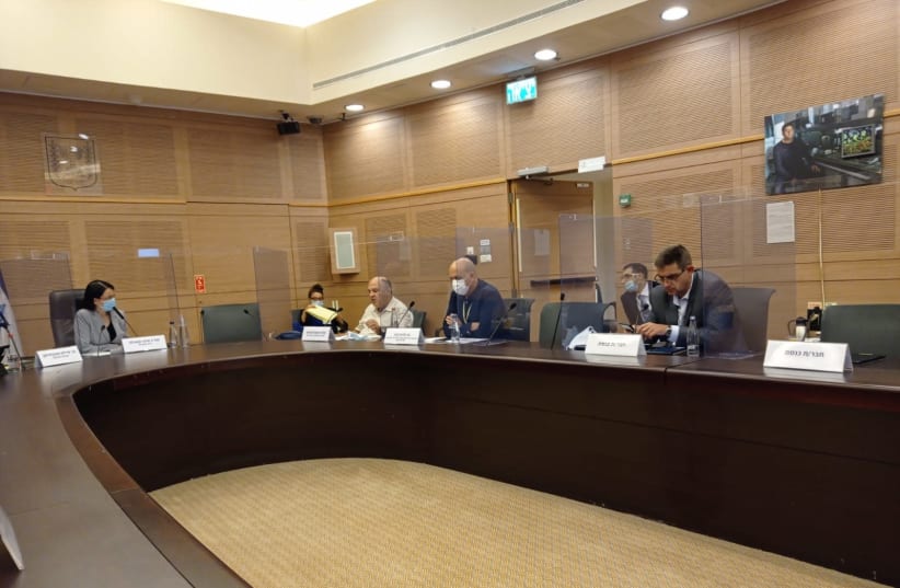 Professor Shapira at a discussion in the Knesset Science and Technology Committee, August 18, 2020 (photo credit: KNESSET SCIENCE AND TECHNOLOGY COMMITEE SPOKESPERSON)