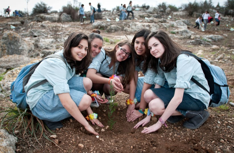 Young Jewish children plant trees as they participate in an event organized by the Keren Kayemet LeIsrael, for the upcoming Jewish holiday of Tu Bishvat in the Ben Shemen forest on February 06, 2012. Tu Bishvat is a Jewish holiday occurring in late winter/early spring marking the "New Year for Trees (photo credit: OMER MIRON/FLASH90)