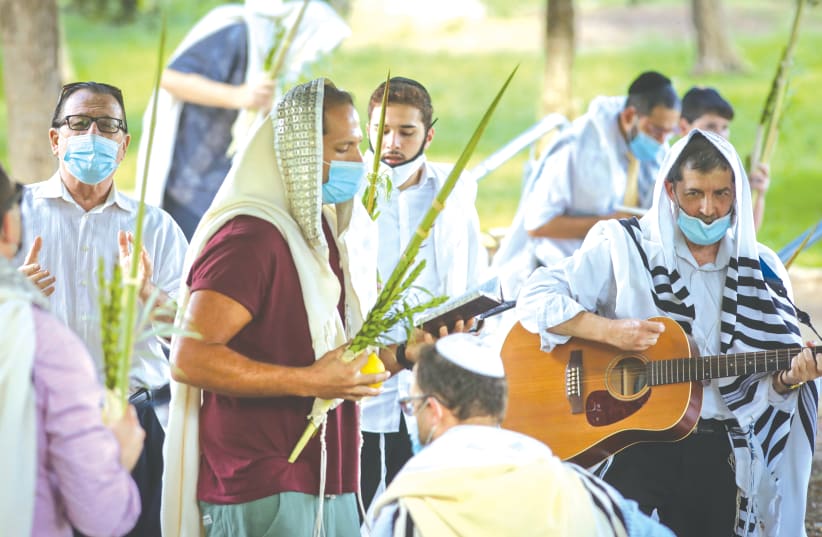 WORSHIPERS hold the Four Species – ‘lulav’, ‘etrog’, ‘hadassim’ and ‘aravot’ – as they pray during Sukkot, in Ramat Beit Shemesh earlier this week.  (photo credit: YAAKOV LEDERMAN)