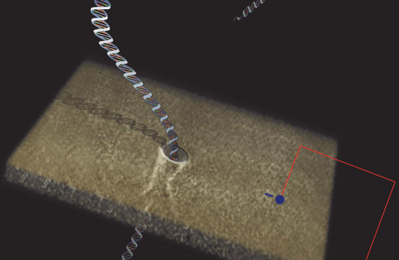 Illustration of DNA molecules passing through a nanopore. (photo credit: TECHNION SPOKESPERSON'S OFFICE)