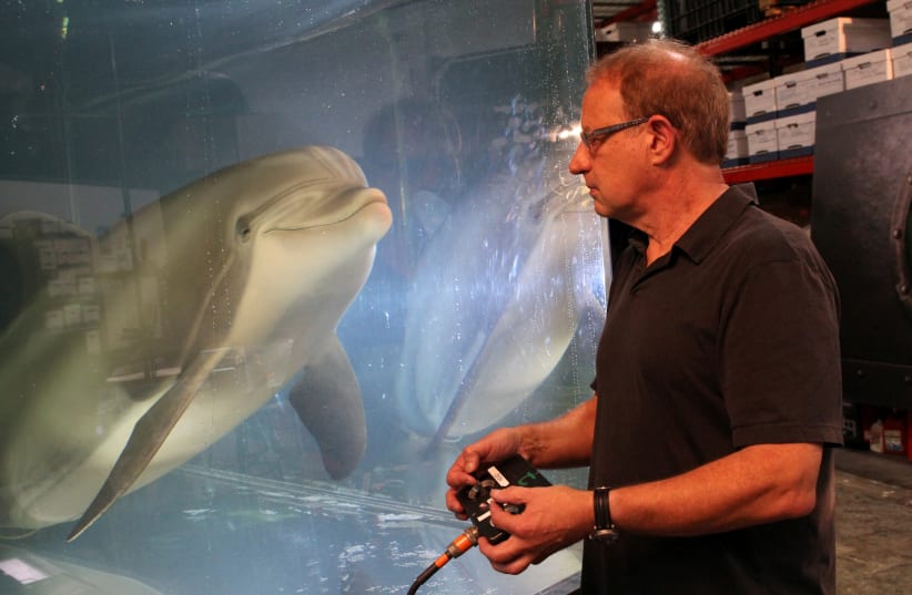 Walt Conti, founder and CEO of Edge Innovations, uses a handheld controller to move an animatronic dolphin in a tank at the company's warehouse in Fremont, California, US, September 30, 2020 (photo credit: REUTERS/NATHAN FRANDINO)